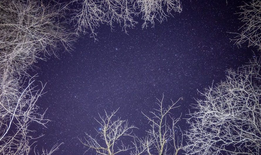 Отзывы о проекторах с реалистичной проекцией